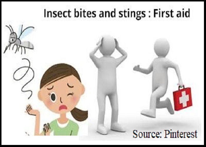 Insect Bites and Stings in Children: Symptoms, Causes, Diagnosis, and Treatment